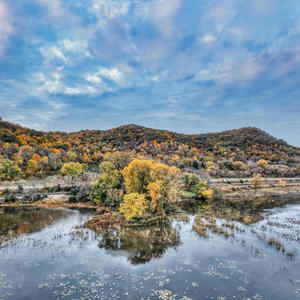 To The Mountain (feat. Snowflake)