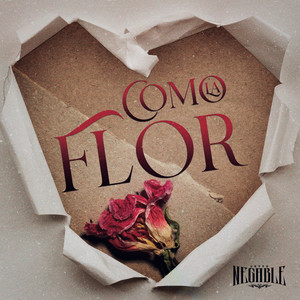 Como La Flor
