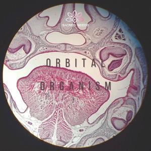 Orbital Organism