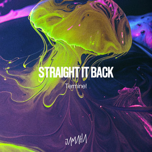 Straight It Back (Original Mix)