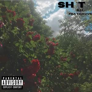 SH*T (Explicit)