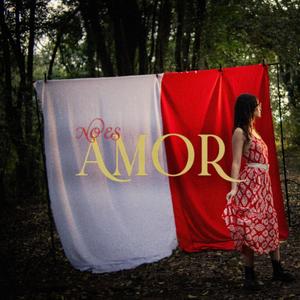 No Es Amor