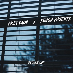 Figure Out(feat. Xenon Phoenix)