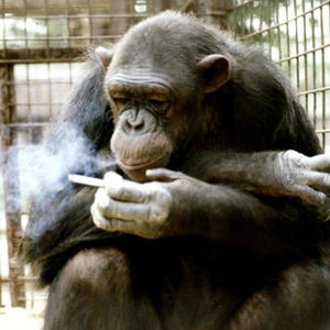 ur only luvd 20 times