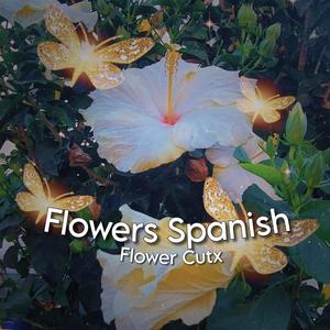 Flowers (From The Miley Cirus) (Versión en Español)