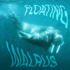 Floating Walrus