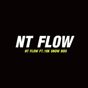 NT FLOW (Explicit)