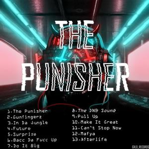 THE PUNISHER