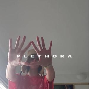 plethora (deluxe) [Explicit]