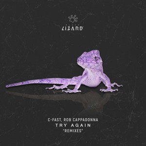 Try Again (Tenaj Remix)