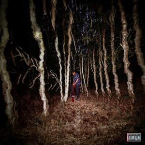 The Forest (Explicit)