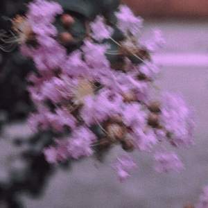 王小美 - 无人知我来时路