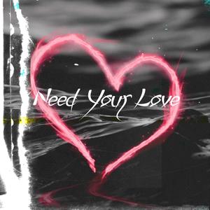 Need Your Love (Explicit)