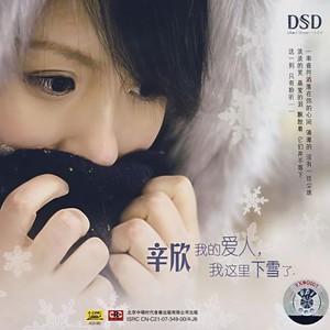 我的爱人，我这里下雪了