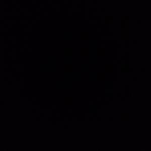 Marley And Me (Explicit)