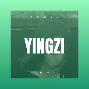 浪了这些年 (DJ版)