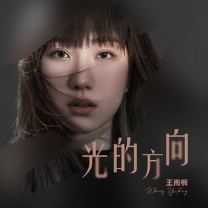 光的方向 (弹唱版)封面