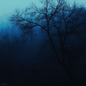 The Ink of Night