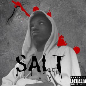 SALT (Explicit)