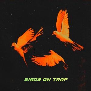 BIRDS ON TRAP (Explicit)