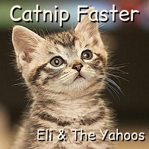 Catnip Faster