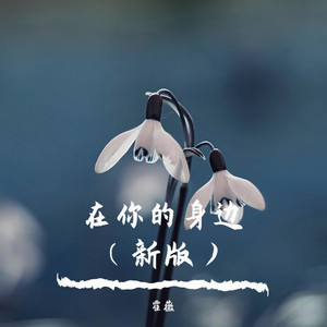 在你的身边