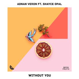 Without You (feat. Shayce Opal)