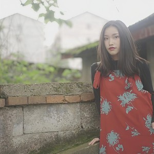 秋酿封面