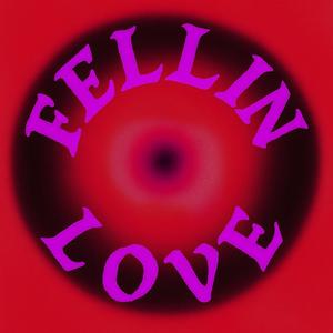 Fell In Love (Explicit)