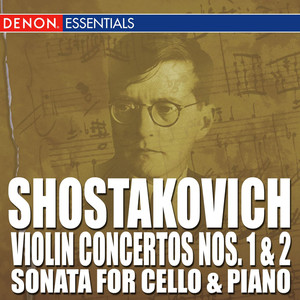 Cello Sonata No. 2 In D Minor, Op. 40 - II. Allegro