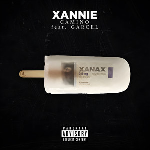 Xannie (feat. Garcel) [Explicit]