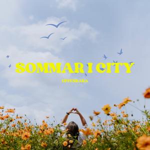 Sommar I City