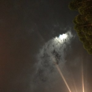 错把路灯当月光