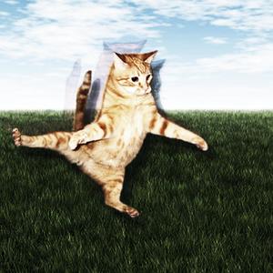 DOPEHOEE (feat. BOYARDEE) (Explicit)