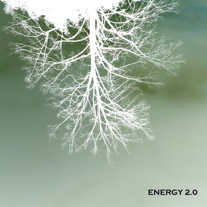 Energy 2.0