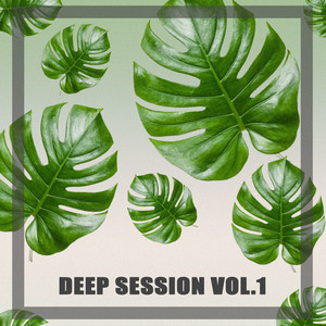 Deep Session, Vol. 1