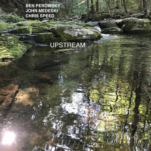 Face on the Barroom Floor(feat. John Medeski & Chris Speed)
