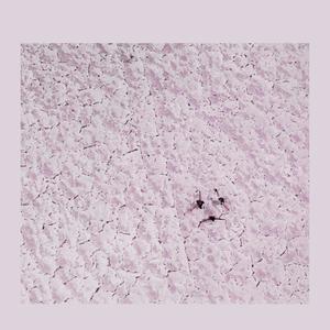 a fragile thing (Explicit)