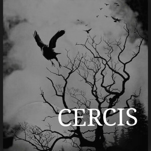 CERCIS (Explicit)