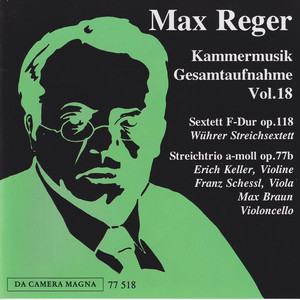 String Trio No. 1 in A Minor, Op. 77b - II. Larghetto