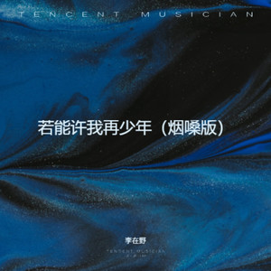 若能许我能再少年 (烟嗓版)