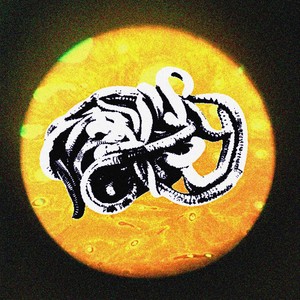 Паразитический бред