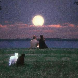 lost you (feat. humail) (Explicit)