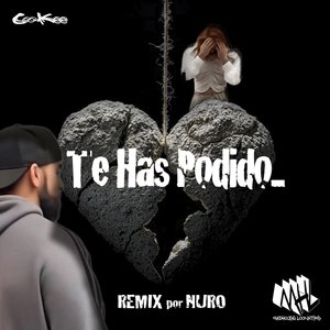 Te As Podido (Remix) [Explicit]