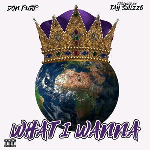 What I Wanna (Explicit)