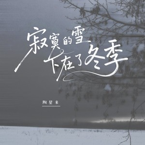 寂寞的雪下在了冬季 (伴奏)