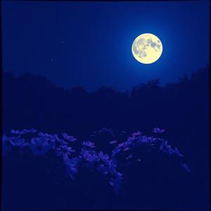 Promesa eterna (feat. Luis santos)