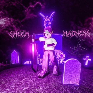 Sheer Madness (Explicit)