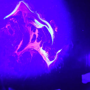 l'interlude / the interlude