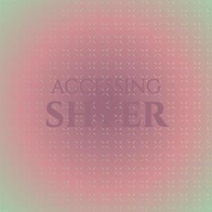 Accessing Shyer